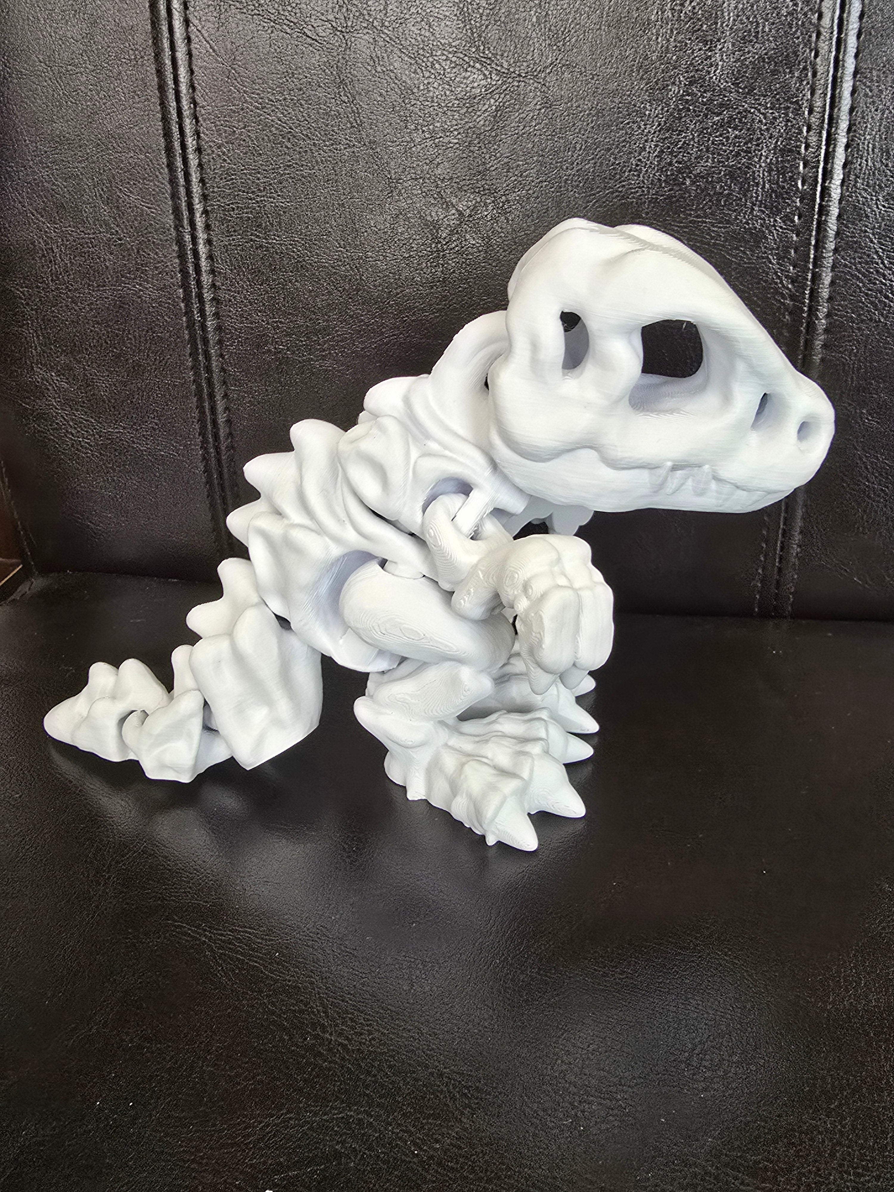 Rexy Bones Toy