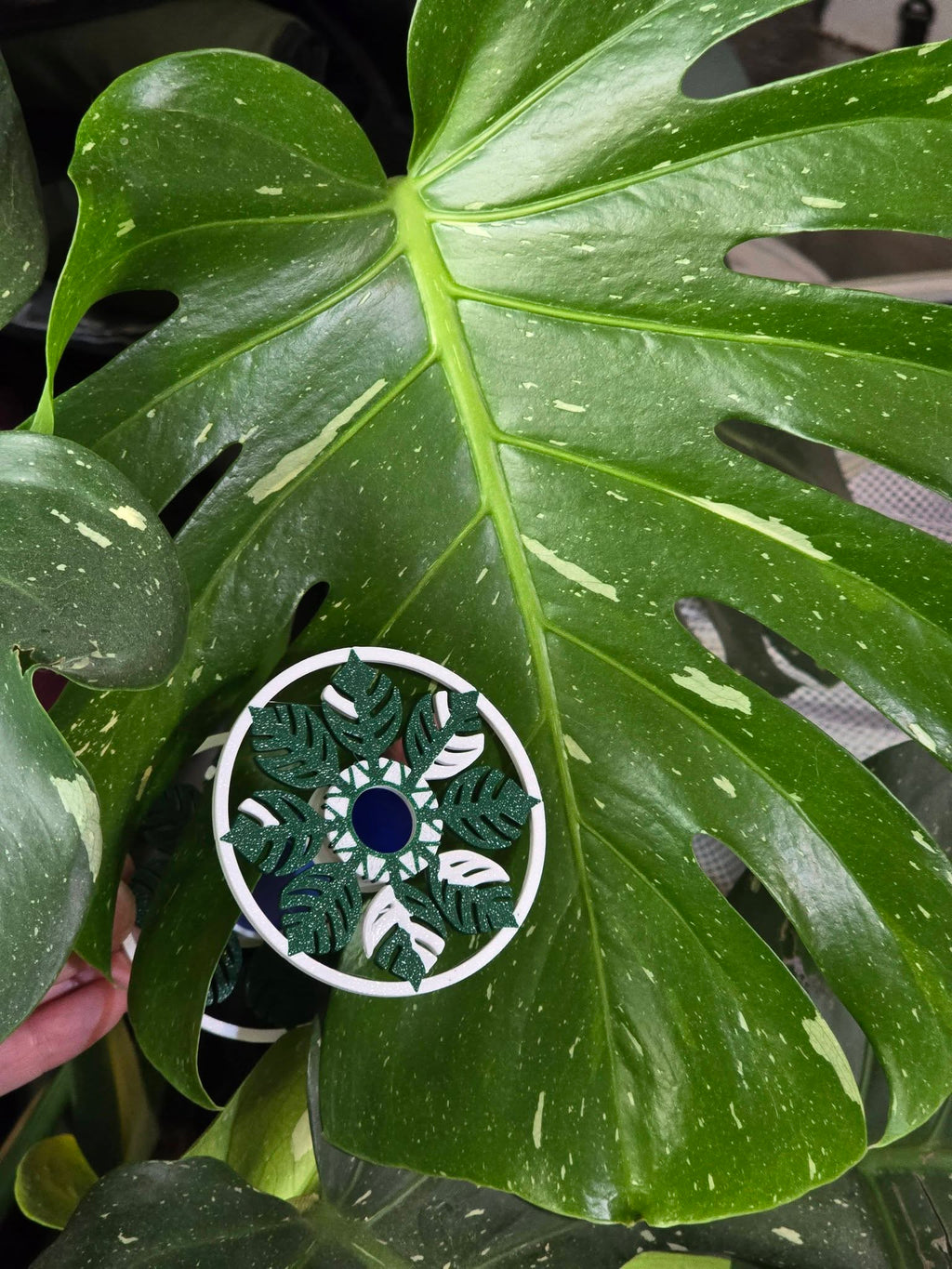 2026 Monstera Bobbin for all size wheels