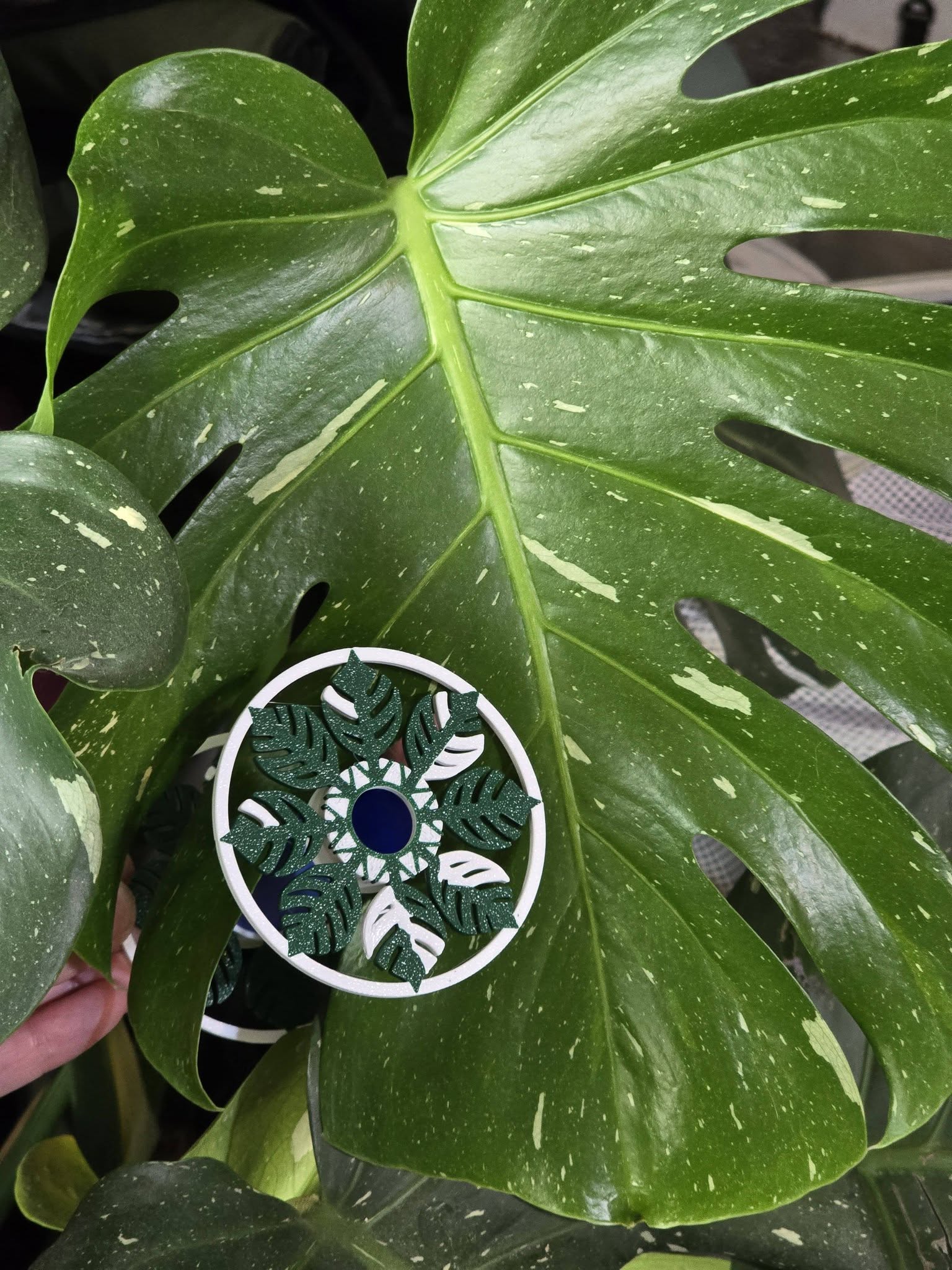 2026 Monstera Bobbin for all size wheels